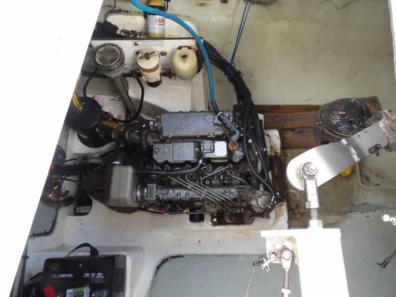 Slide: The Image of Leopard 48 2014 - 93