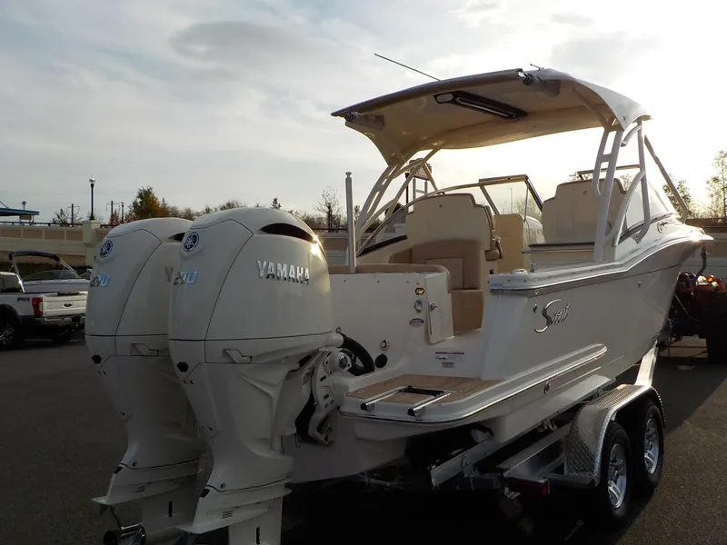 Slide: The Image of Scout Dorado 255 2025 - 11