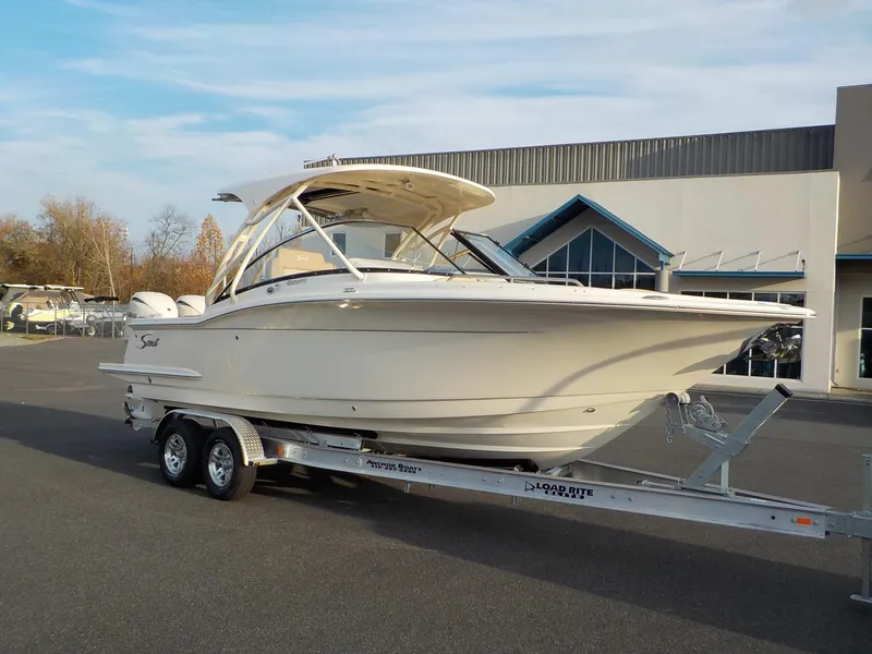 Slide: The Image of Scout Dorado 255 2025 - 4