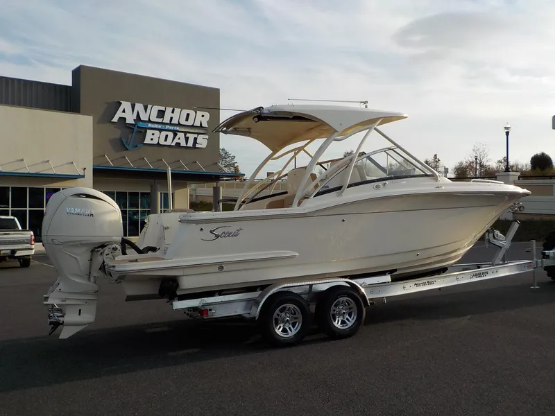 Slide: The Image of Scout Dorado 255 2025 - 5