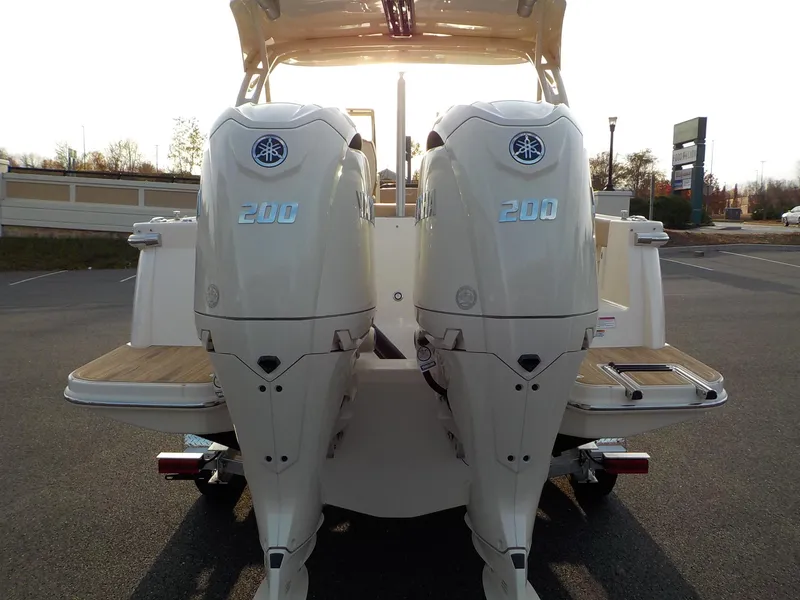 Slide: The Image of Scout Dorado 255 2025 - 6