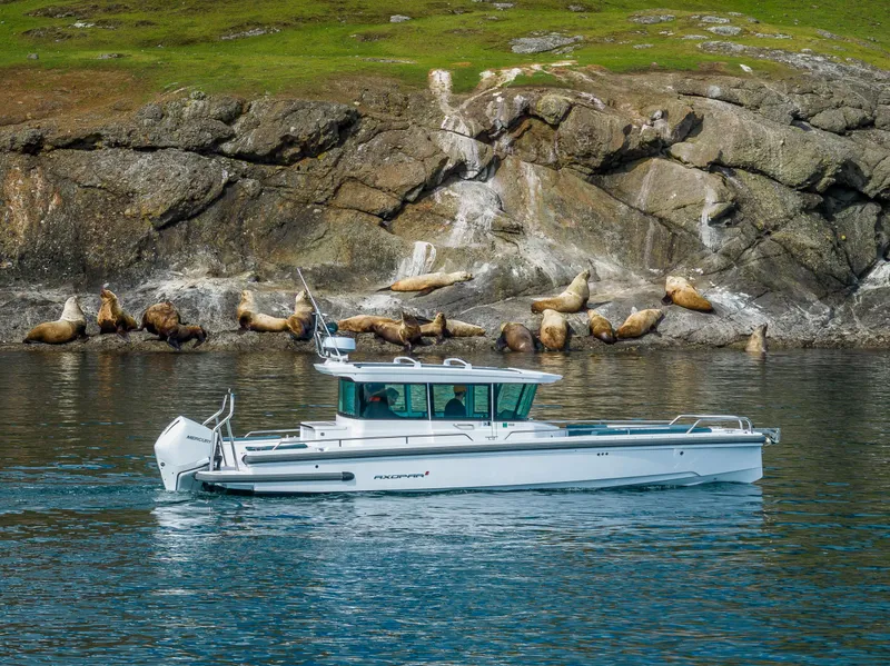 Slide: The Image of Axopar 28 boat cruising near rocky shore with sea lions, 2022 model. - 27