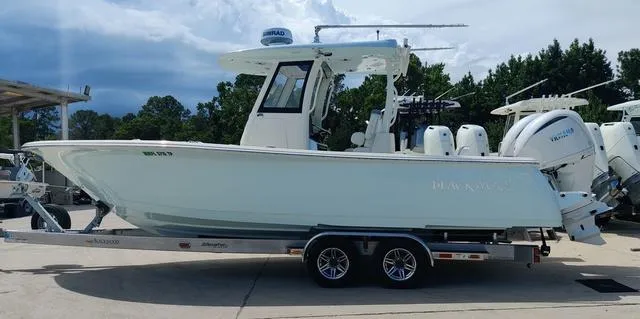 The Image of Blackwood 290 OPEN 2024 - 1