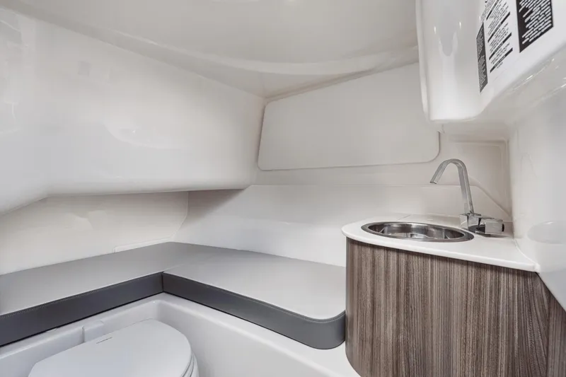 Slide: The Image of Sea Ray SDX 250 Outboard 2025 - 18