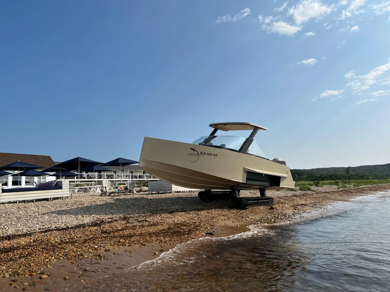 Slide: The Image of Iguana Commuter 2017 - 1