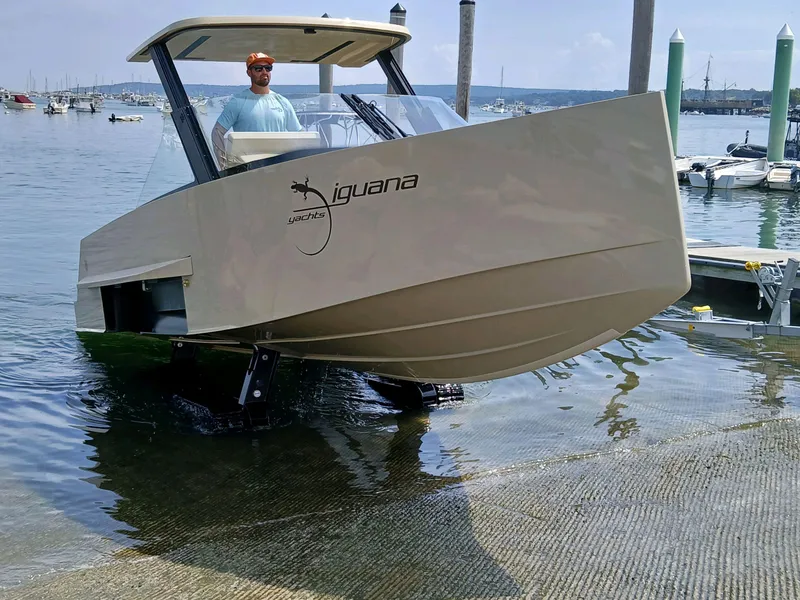 Slide: The Image of Iguana Commuter 2017 - 12