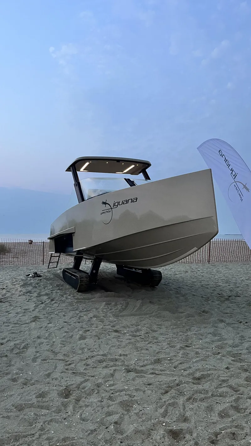 Slide: The Image of Iguana Commuter 2017 - 16