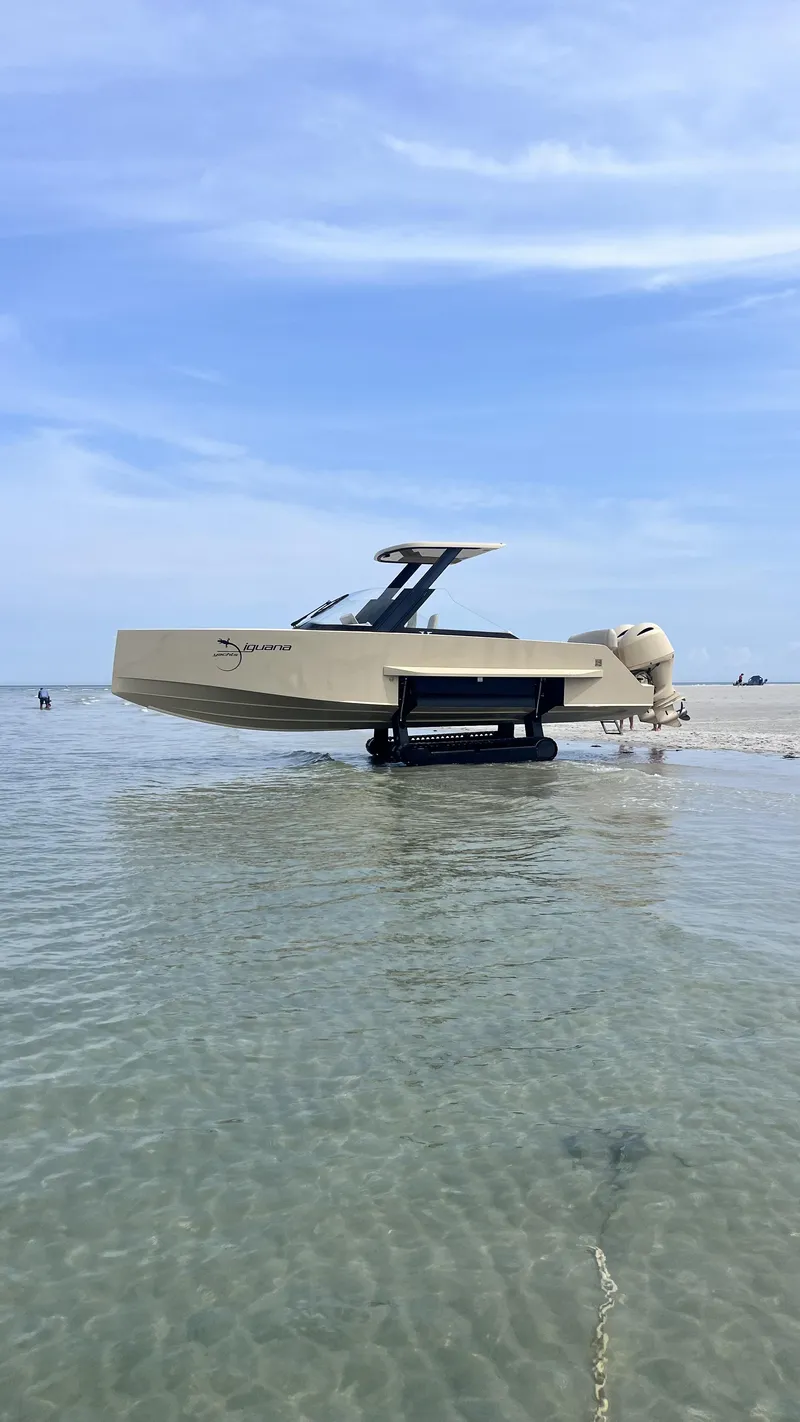 Slide: The Image of Iguana Commuter 2017 - 17