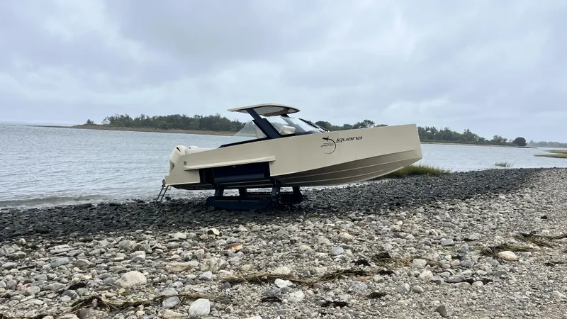 Slide: The Image of Iguana Commuter 2017 - 21