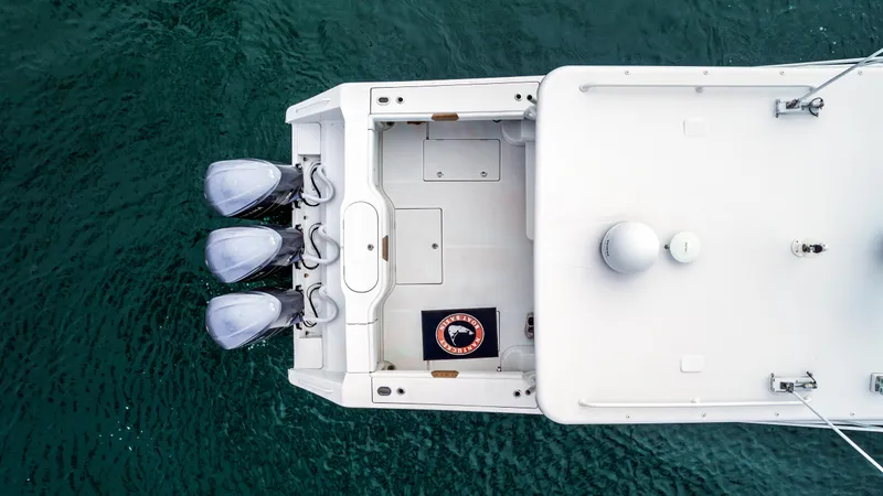 Slide: The Image of 2017 Jupiter 41 - Exterior profile on the water - 16