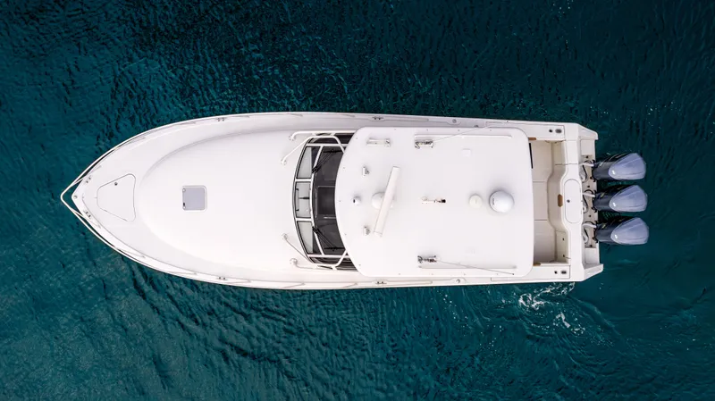 Slide: The Image of 2017 Jupiter 41 - Exterior profile on the water - 4