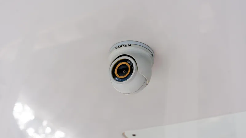 Slide: The Image of 2017 Jupiter 41 - Camera - 49