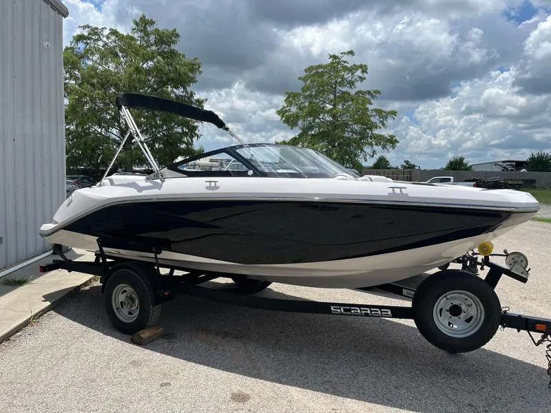 The Image of Scarab 195 2017 - 1