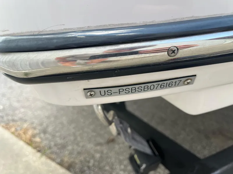 Slide: The Image of Scarab 195 2017 - 11