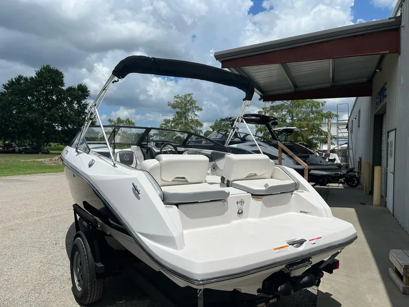 Slide: The Image of Scarab 195 2017 - 3