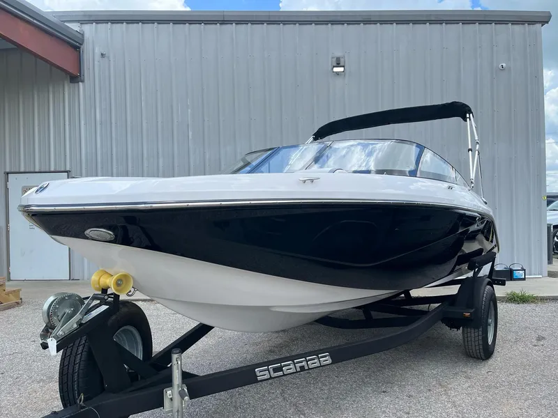 Slide: The Image of Scarab 195 2017 - 6