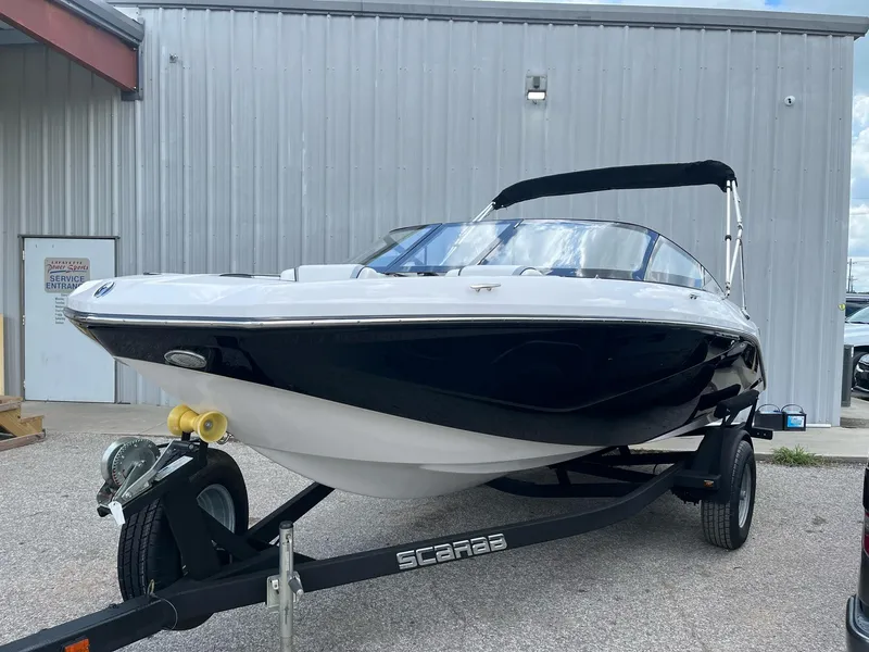 Slide: The Image of Scarab 195 2017 - 7