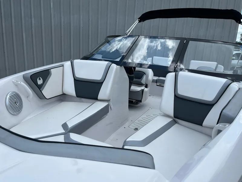 Slide: The Image of Scarab 195 2017 - 8