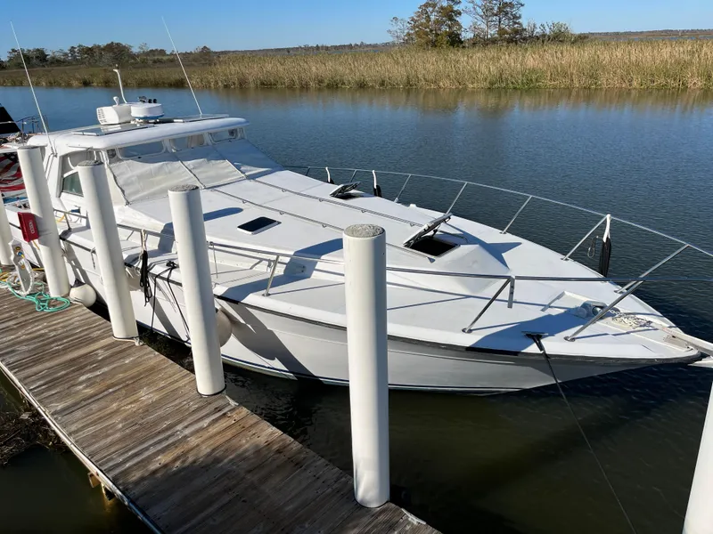 The Image of 1987 Sea Ray 460 docked on calm water, surrounded by reeds and clear sky. - 1