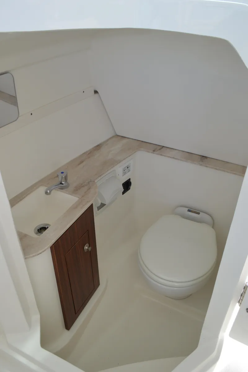 Slide: The Image of Pursuit 266 DC - Head (2) - 36