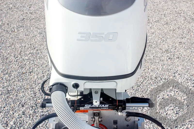 Slide: The Image of Caymas 26 HB 2025 - 67