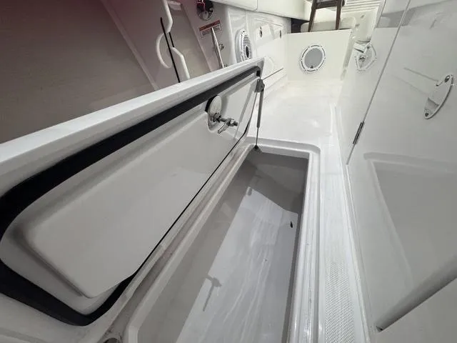 Slide: The Image of Jupiter Jupiter 32 2025 - 38