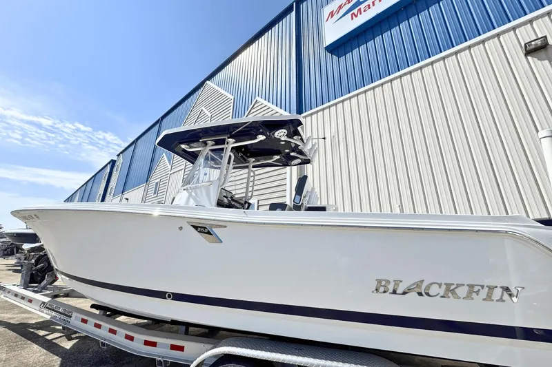 Slide: The Image of Blackfin 252 2021 - 13