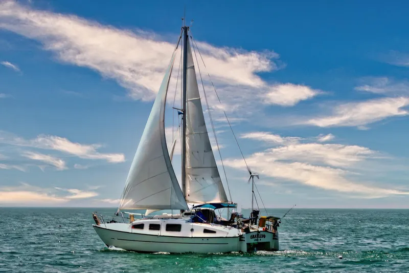 The Image of 1979 Catamaran Ocean Winds 33 sailing on open sea under clear blue sky. - 0