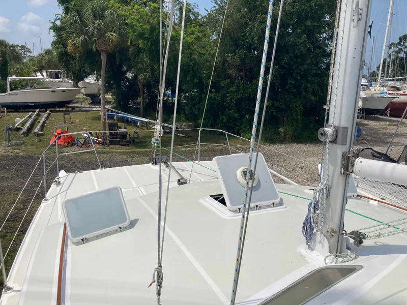 Slide: The Image of 1979 Catamaran Ocean Winds 33 on land, surrounded by trees and other boats. - 3