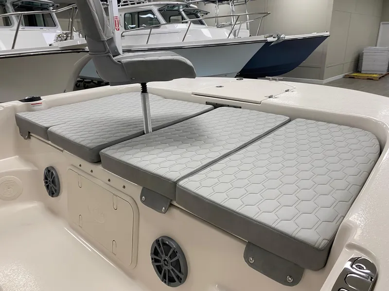 Slide: The Image of Carolina 19 LS 2025 - 3