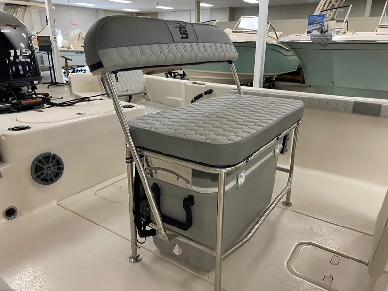 Slide: The Image of Carolina 19 LS 2025 - 4