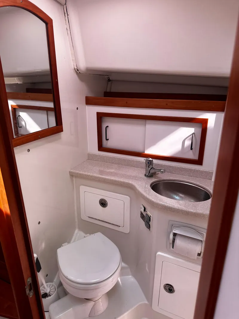 Slide: The Image of Head, forward - 18