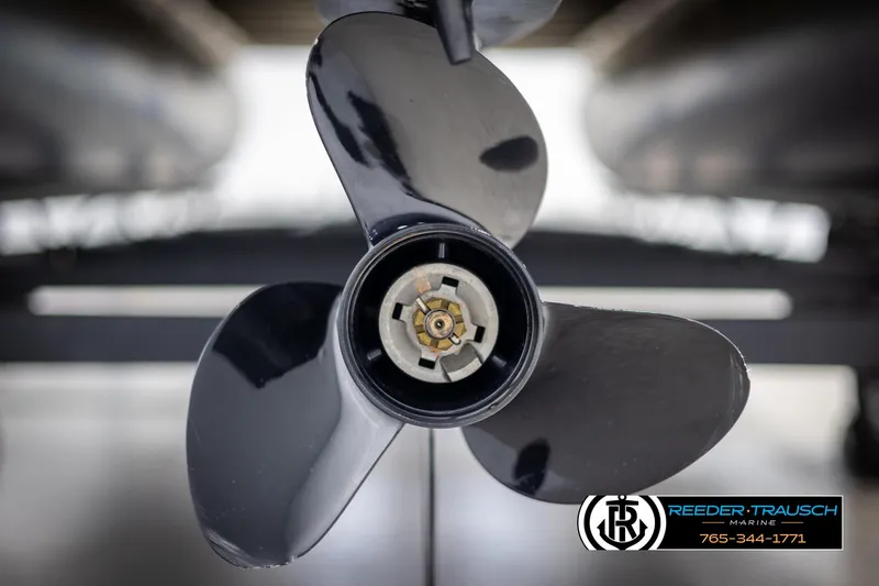 Slide: The Image of Avalon VEN QF 2024 - 50