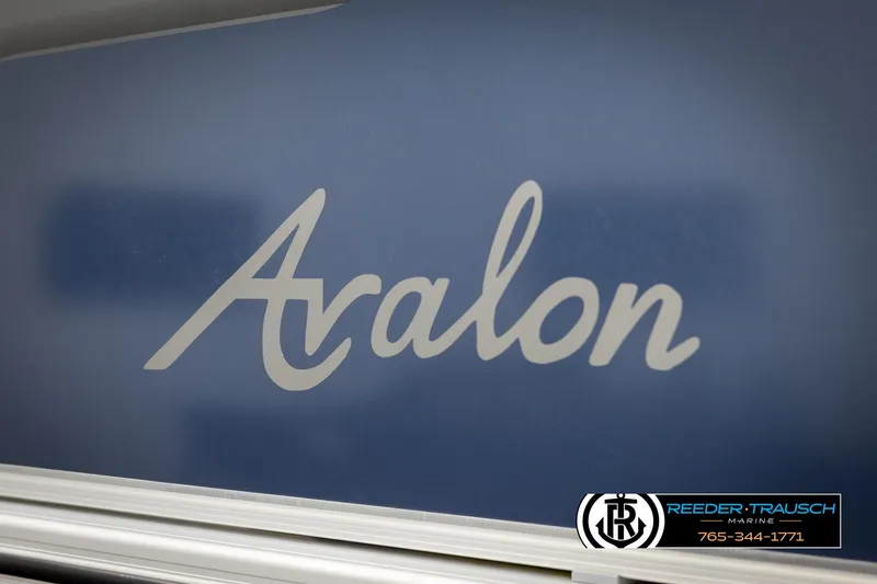 Slide: The Image of Avalon VEN QF 2024 - 52