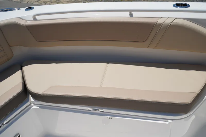 Slide: The Image of Edgewater 340CC 2025 - 86