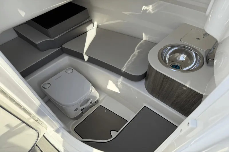 Slide: The Image of Sea Ray SDX 250 2025 - 21