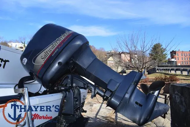 Slide: The Image of Seaswirl 2301 Walkaround 2004 - 8