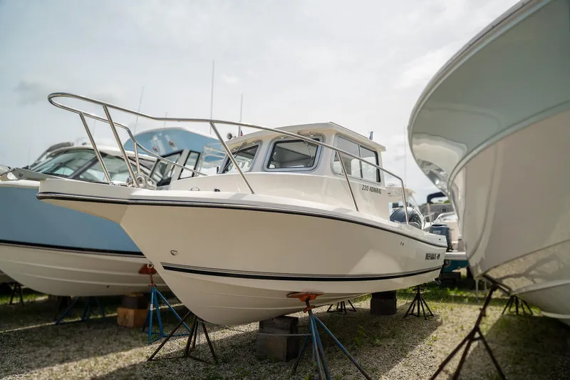 The Image of Defiance Admiral 220 EX 2025 - 1