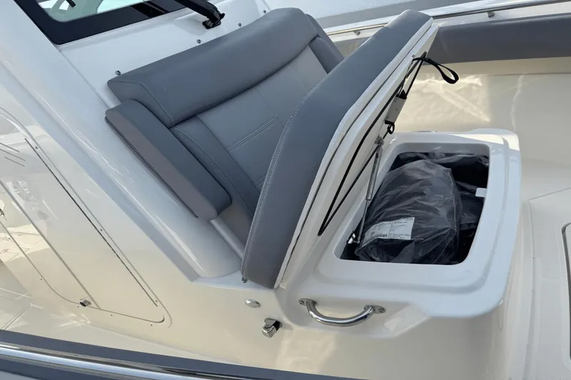Slide: The Image of Boston Whaler 250 Outrage 2025 - 39
