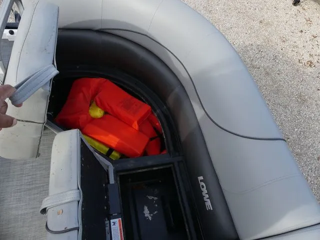 Slide: The Image of Lowe SS210 V 2021 - 9