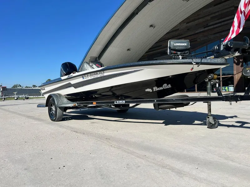 Slide: The Image of Bass Cat Margay 2019 - 10