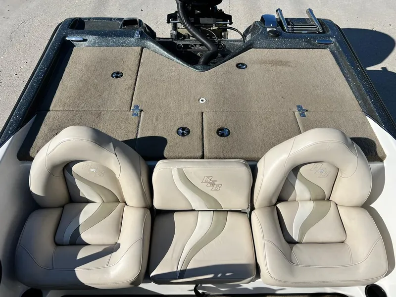 Slide: The Image of Bass Cat Margay 2019 - 11