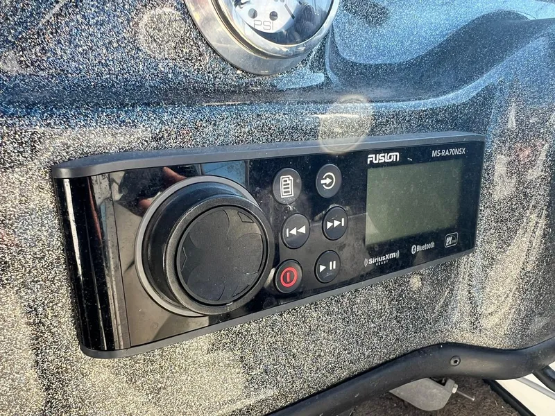 Slide: The Image of Bass Cat Margay 2019 - 13