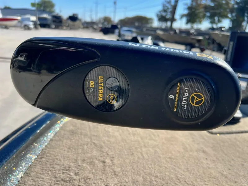 Slide: The Image of Bass Cat Margay 2019 - 15