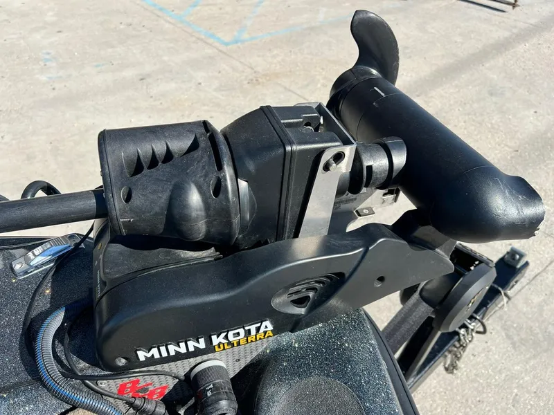 Slide: The Image of Bass Cat Margay 2019 - 16