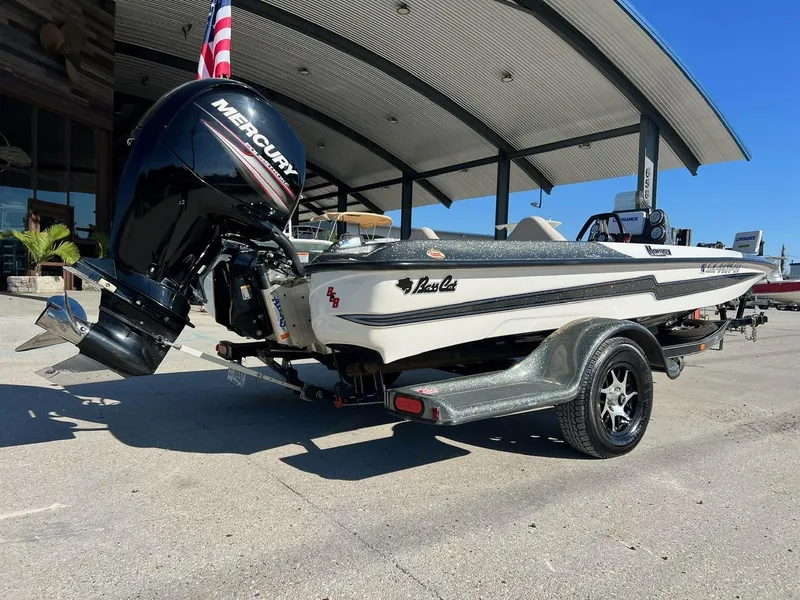 Slide: The Image of Bass Cat Margay 2019 - 3