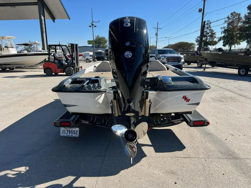 Slide: The Image of Bass Cat Margay 2019 - 4