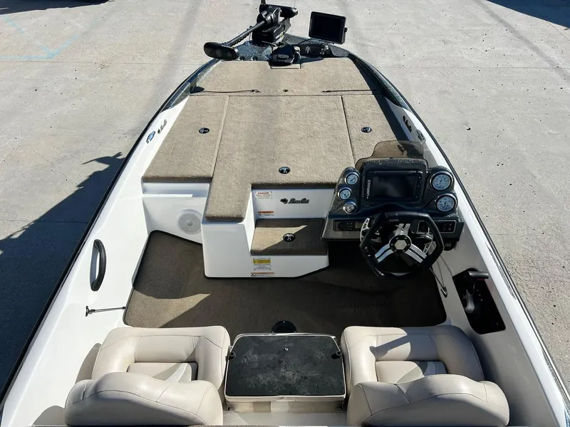 Slide: The Image of Bass Cat Margay 2019 - 5