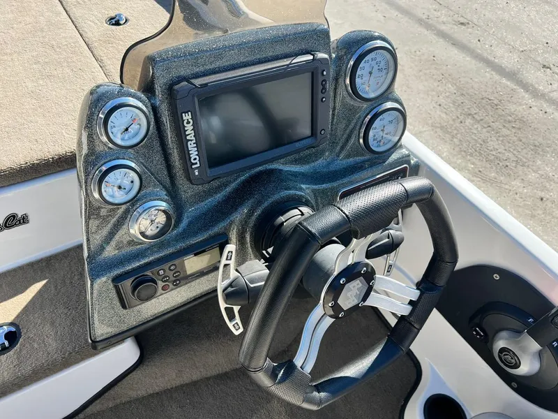 Slide: The Image of Bass Cat Margay 2019 - 6