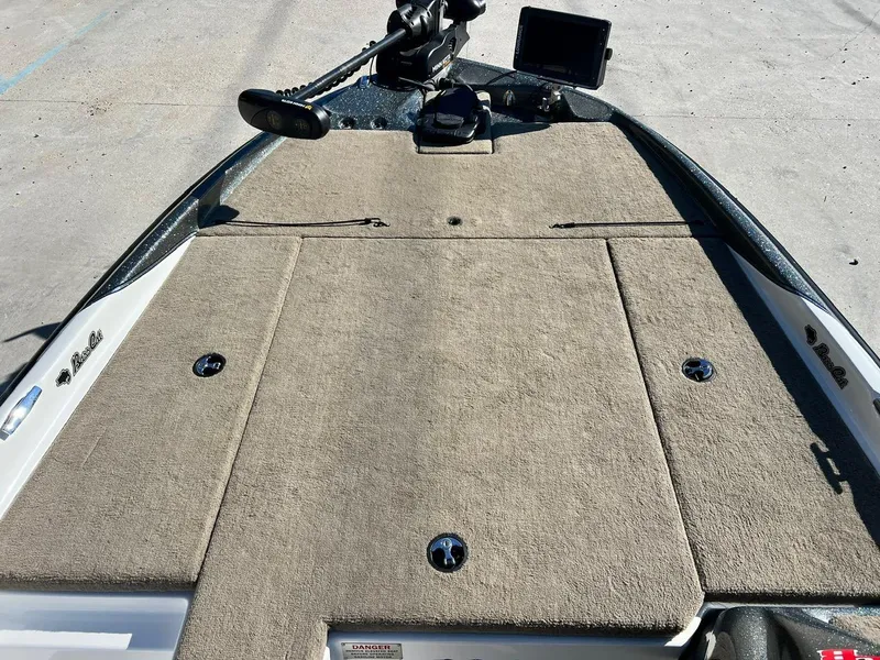 Slide: The Image of Bass Cat Margay 2019 - 7